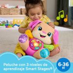 perrito fisher price